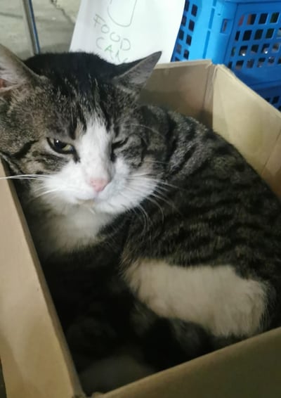 Image related to the article