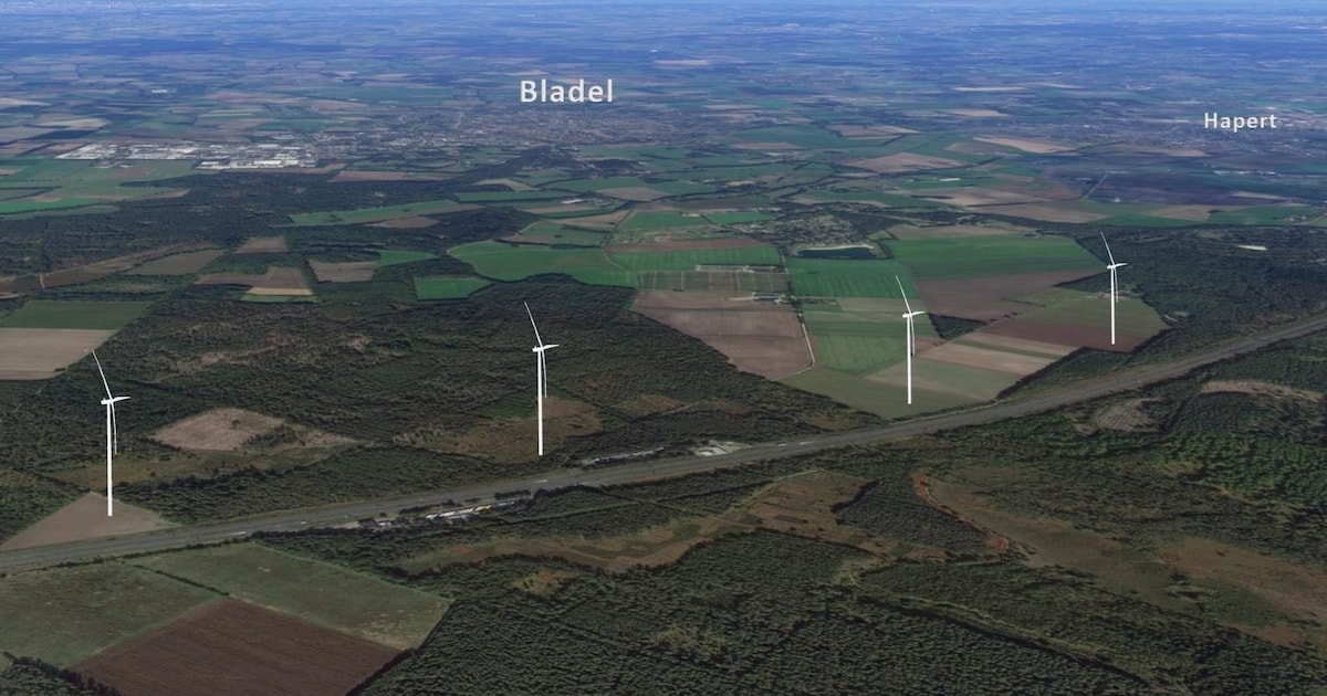 Bladel blaast op laatste moment grondtransactie af, Staatsbosbeheer niet blij: ‘Teleurstellende wend