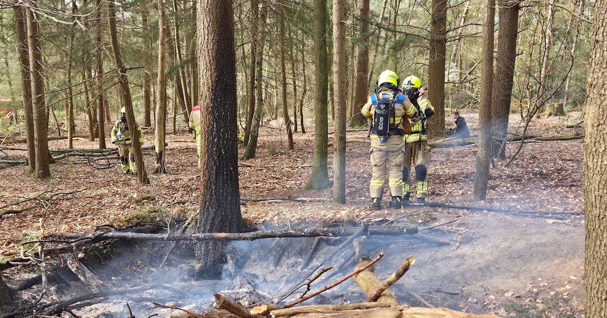 Meerdere brandjes in bos bij Wageningen, vuur mogelijk aangestoken