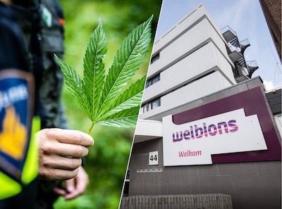 Image related to the article