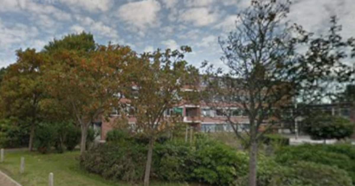 Informatieavond over Soorten Management Plan op Vlieland