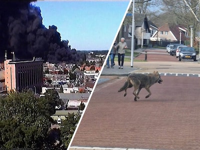 Image related to the article