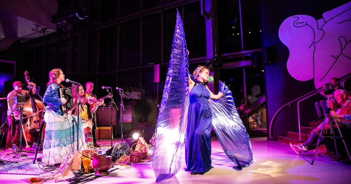 Nacht van de Viool in TivoliVredenburg brengt klanken zonder grenzen