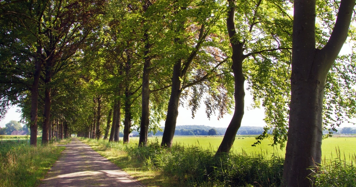 Lochem houdt bijeenkomsten over toekomst buitengebied