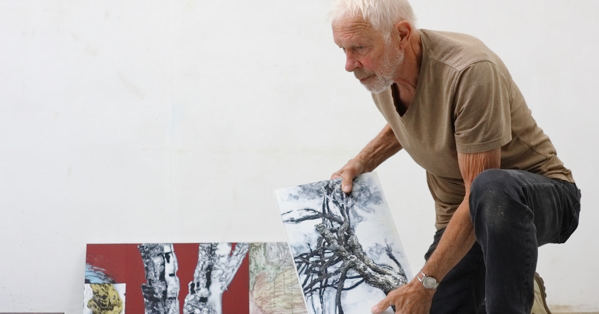 René Ziedses Des Plantes toont bomen in tentoonstelling Museum De Wieger in Deurne