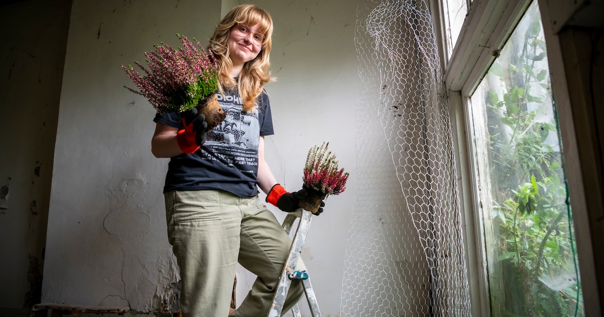 Jongeren creëren kunst in slooppand Aardenburg: ‘Gaaf dat we hier gewoon onze gang kunnen gaan’