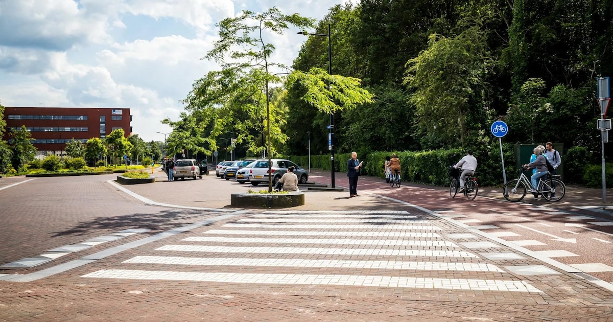 Assen verbetert zebrapaden voor meer veiligheid