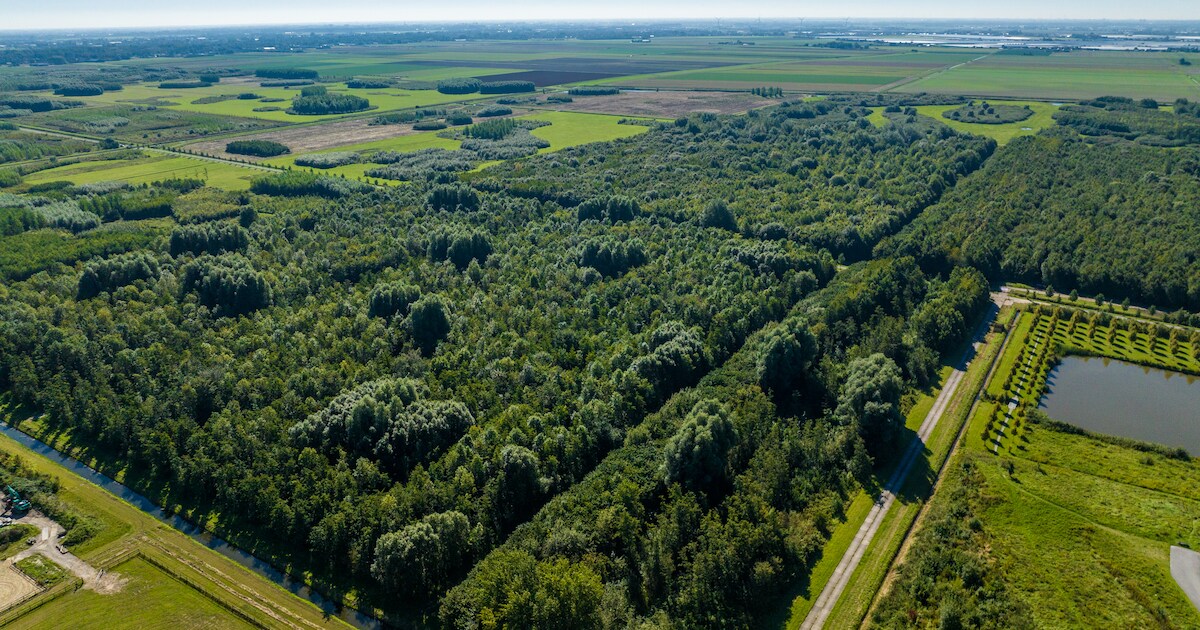 Maaiwerkzaamheden in het Bentwoud starten binnenkort
