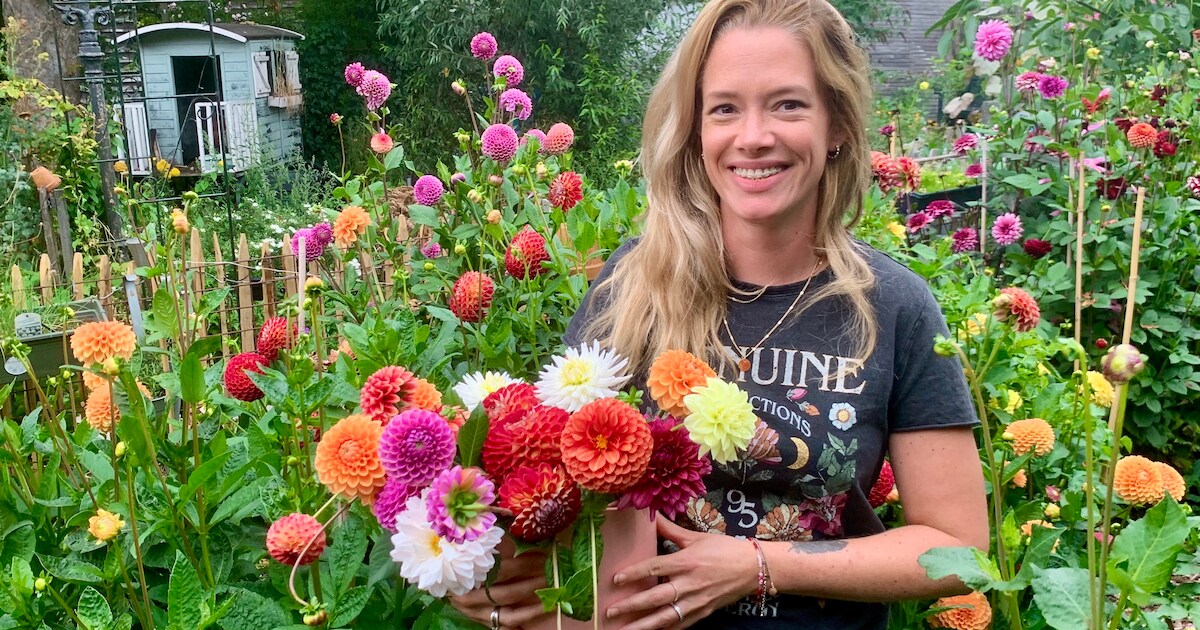 ‘Het leukste is om hier kinderen tussen de Dahlia’s rond te leiden, hun reactie is zo mooi puur’