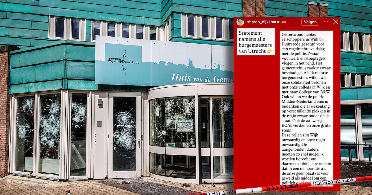 Alle burgemeesters in provincie Utrecht veroordelen geweld na ‘veldslag’ in Wijk bij Duurstede