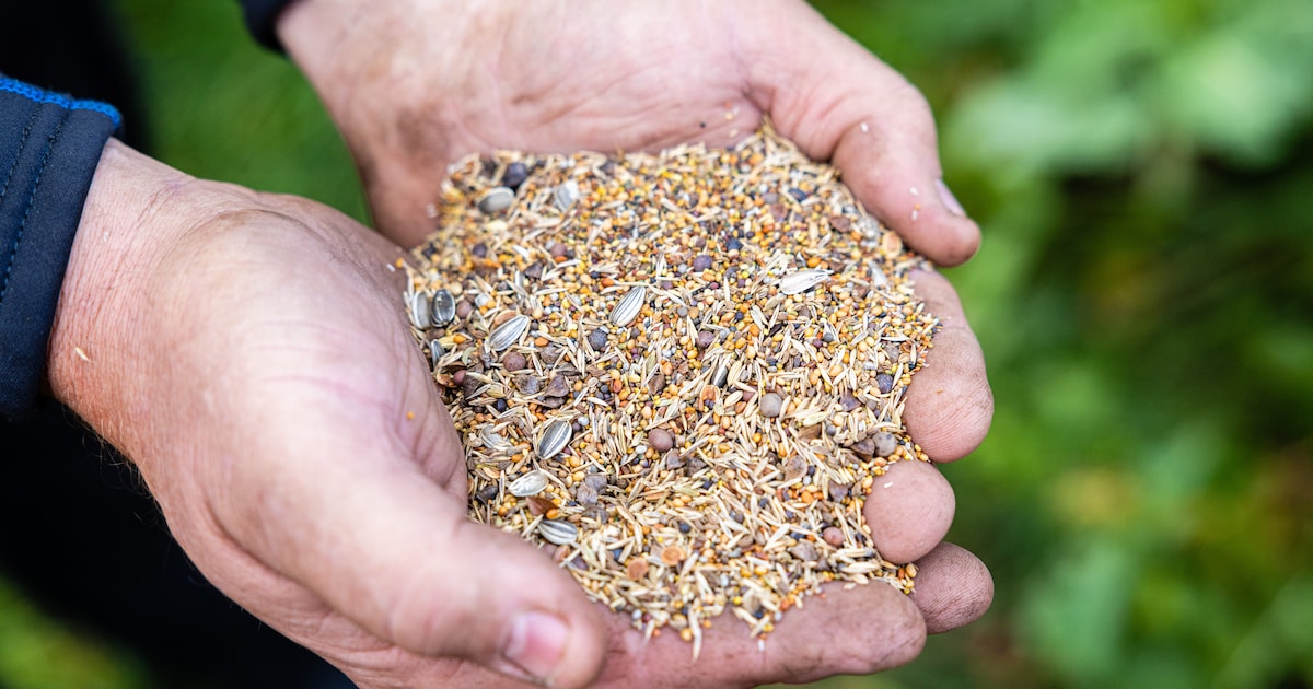 Bibliotheek Landgraaf houdt meerdere activiteiten voor jongeren in meivakantie