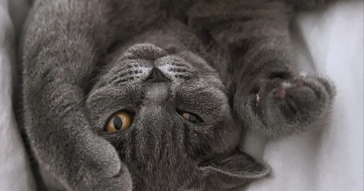 Hotel in aanbouw, kledingwinkel keert terug en meer nieuwtjes van deze week