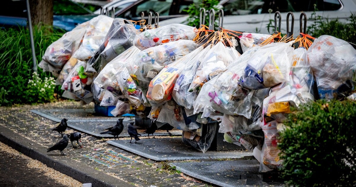 Afvalinzameling en milieustraat Tynaarlo aangepast door hitte