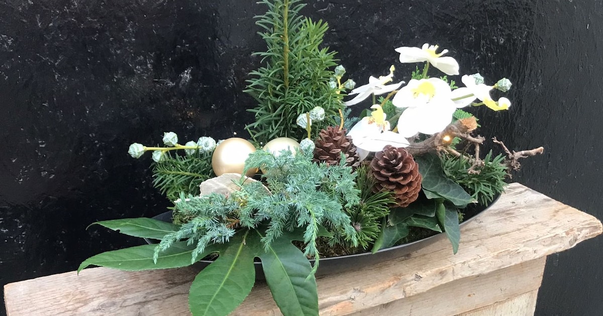 Mantelzorgers maken kerststukjes in Schoondijke