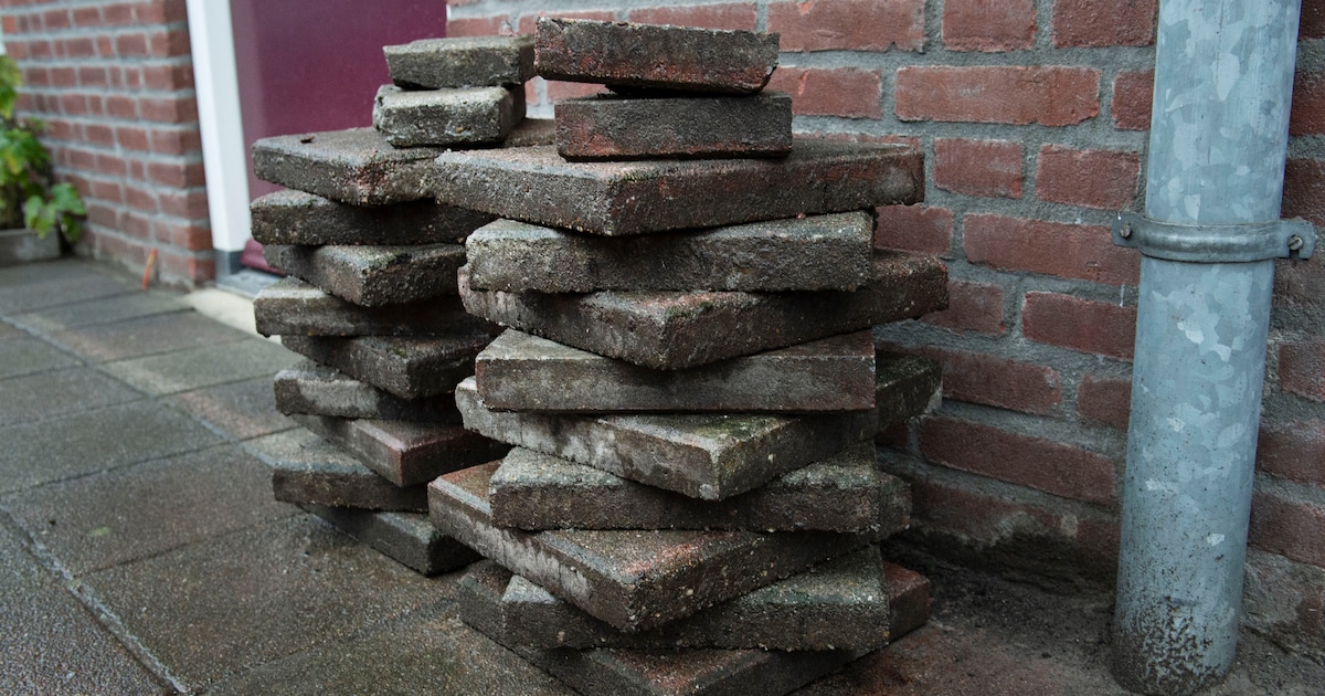 Cranendonck doet mee aan NK Tegelwippen