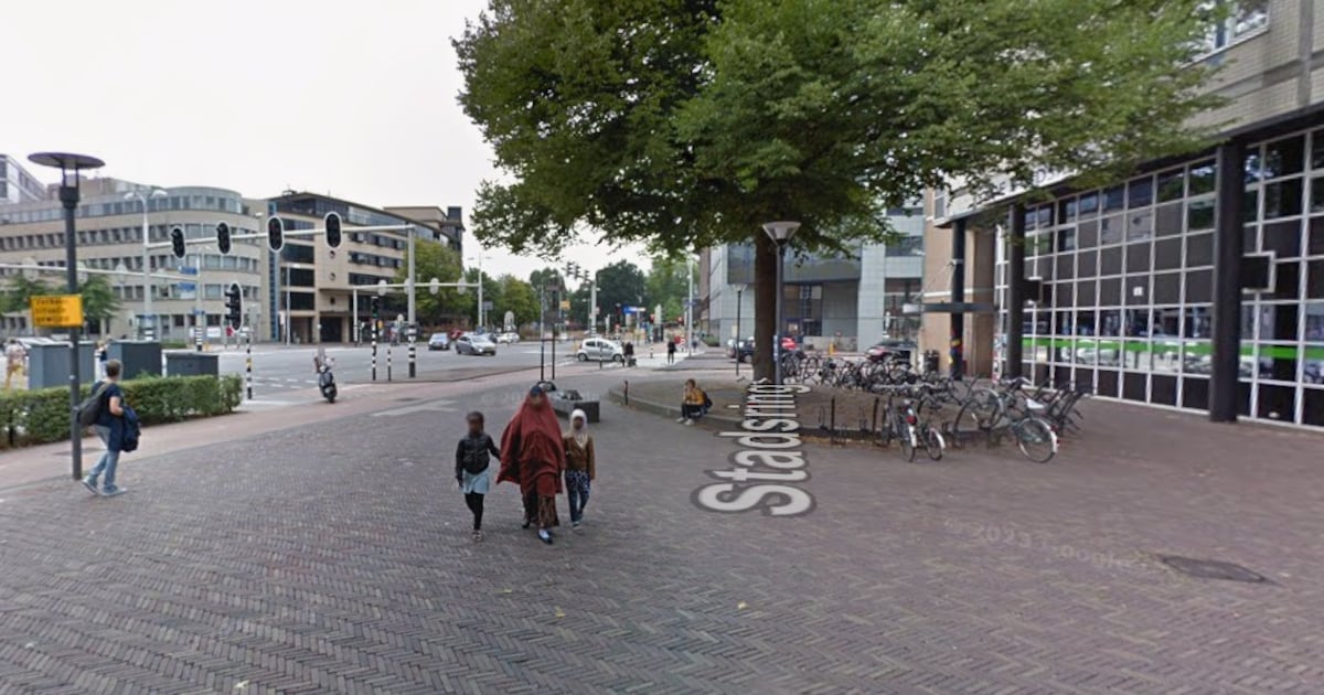Stenige Stadsring wordt groener, Amersfoort wil overbodige bestrating weghalen