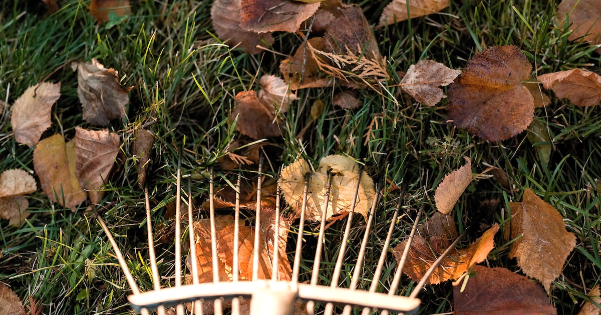 Gratis bladafval inleveren in Haaksbergen