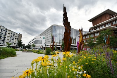 Image related to the article