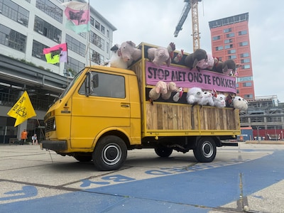 ‘Stop met ons te fokken’, Extinction Rebellion met ‘veewagen’ naar Eindhoven