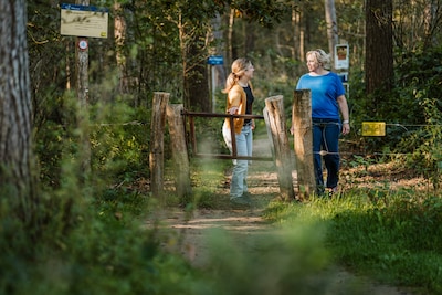 6,500 steps a day: the Alzheimer’s ‘medicine’ sitting in your shoe closet