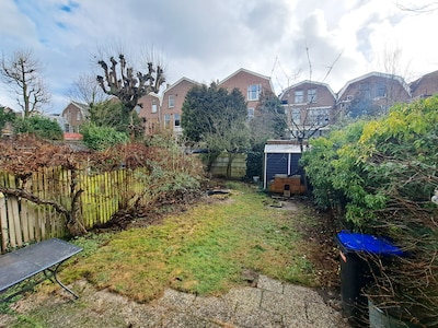 Met deze 5 Haagse acties vul jij je hele tuin gratis met bloemen en planten