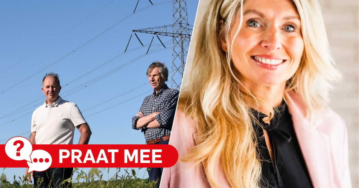 Wat weegt zwaarder: bescherming van uniek landschap bij Abcoude of uitbreiding van overvol stroomnet