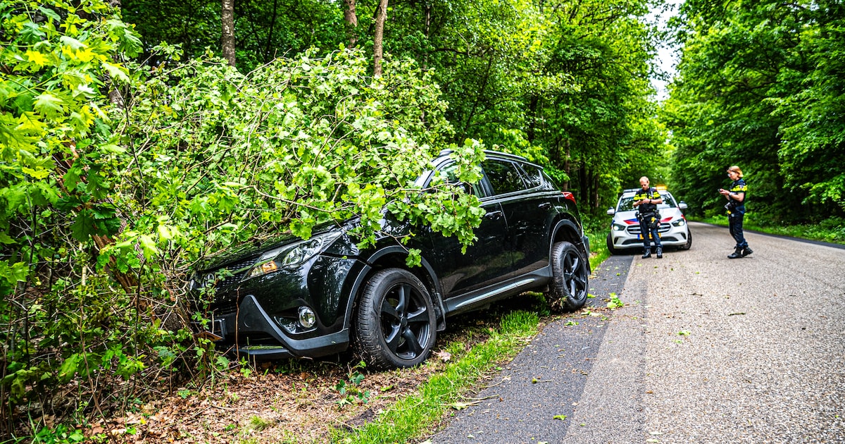 Vrouw gewond na botsing tegen boom op Bosberg in Appelscha