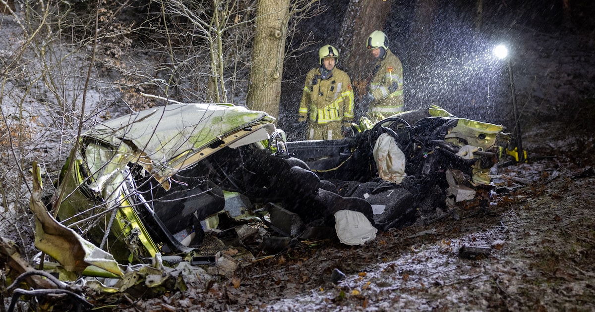Automobilist bekneld na harde botsing tegen boom op N234 bij Bilthoven