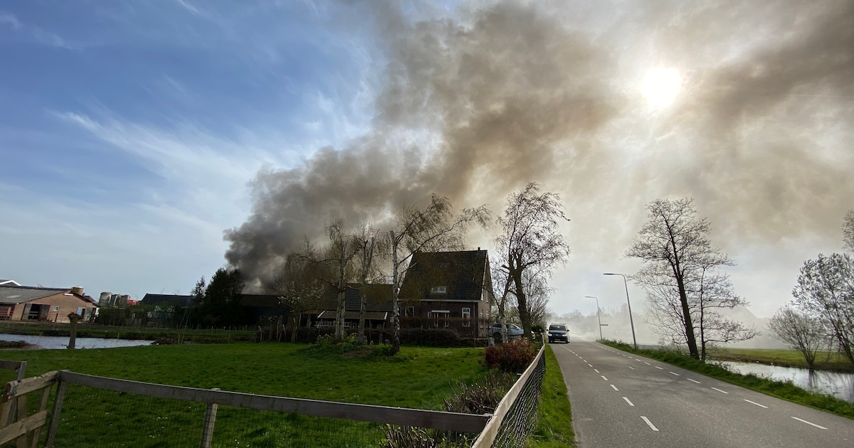 Boerderij brandt volledig af: ‘Gedaan wat we konden, maar puppy’s zijn omgekomen’