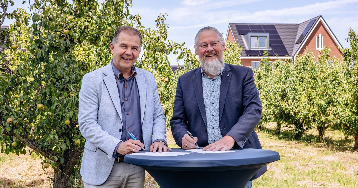 Historische perenboomgaardjes behouden in duurzame wijk Blom in Klaaswaal