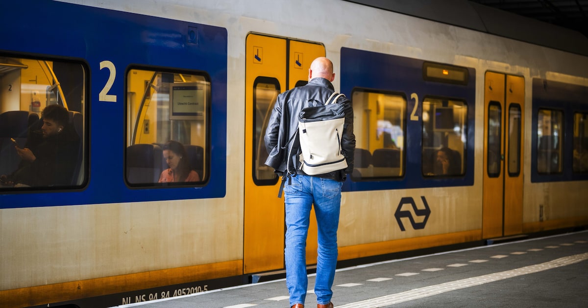 Minder treinen door extreme hitte: op deze trajecten past NS komende dagen dienstregeling aan