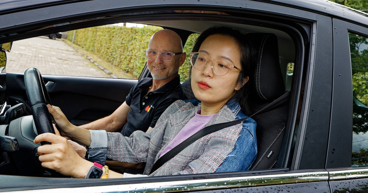Online rijbewijs verlengen nu mogelijk in Heiloo
