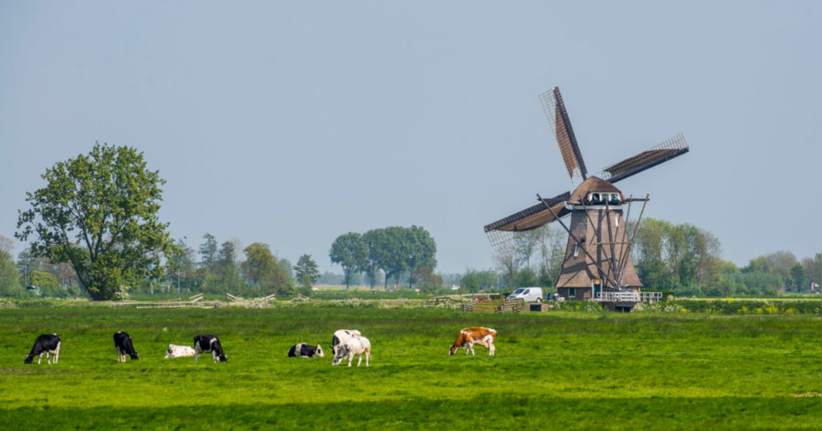 Deze molen in Streefkerk is straks elke week van binnen en buiten te bekijken