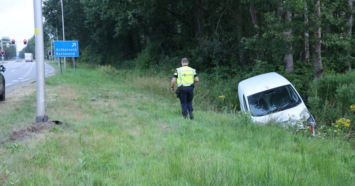 Beschonken bestuurder 'moest uitwijken voor dier' en belandt in greppel