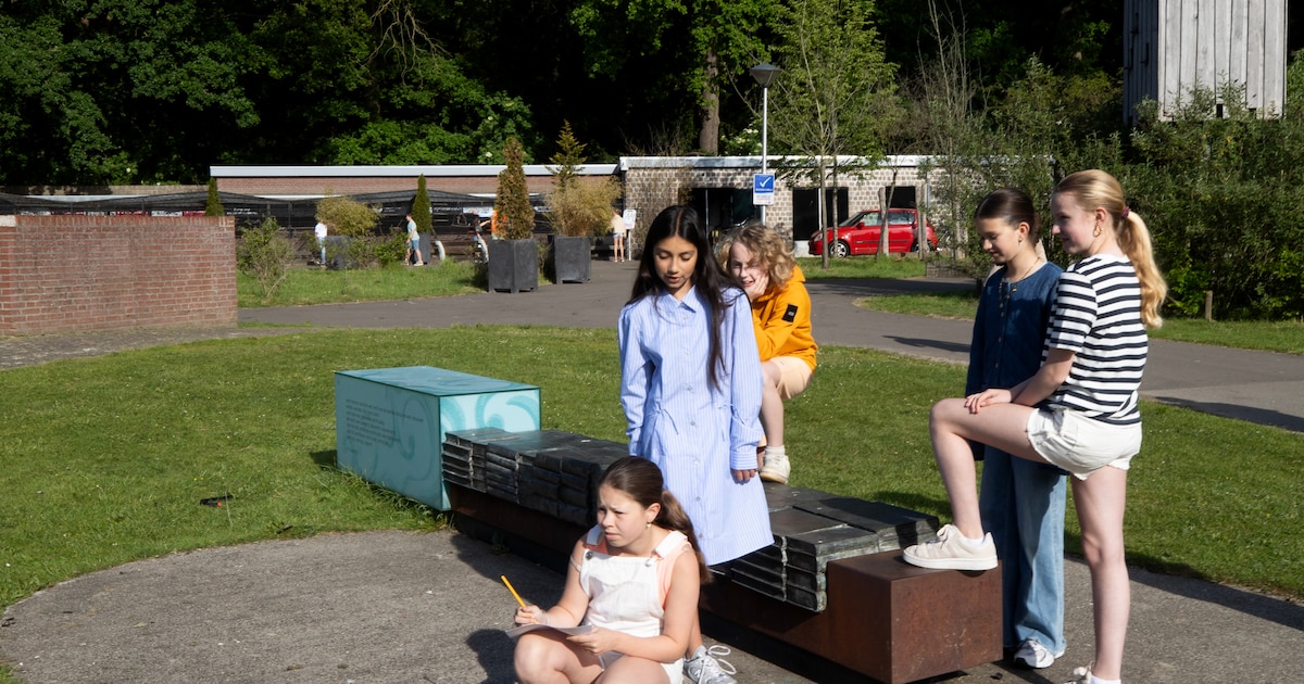 Nieuw groepsprogramma Stoere Schildpadden start in Drachten