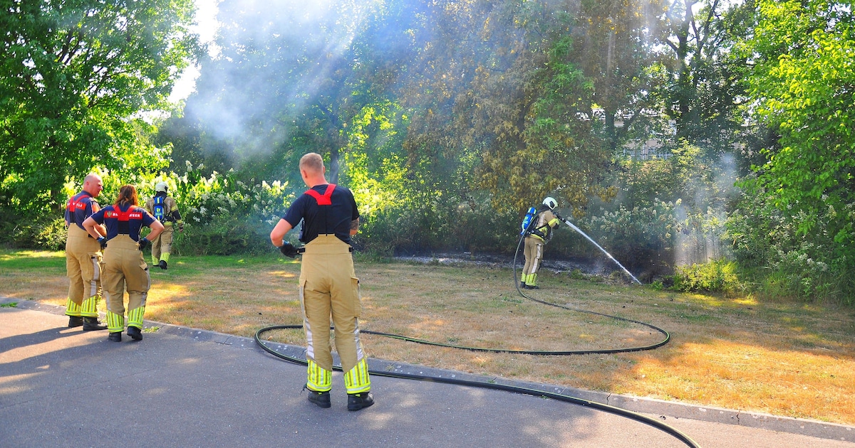 Brand in berm langs Ringweg-Dorrestein in Amersfoort