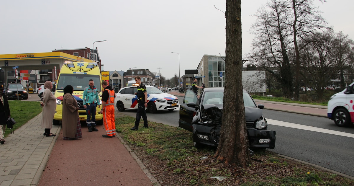 Auto knalt tegen boom in Waddinxveen