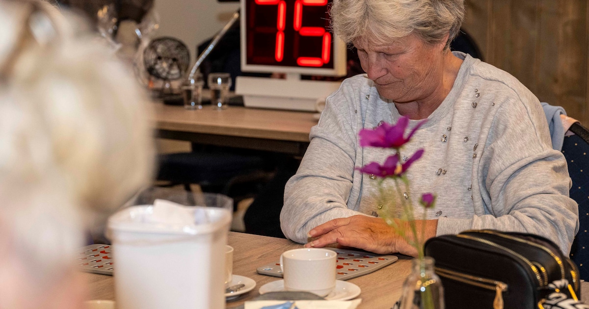 Cyberbingo-middag voor 60-plussers in Hardinxveld-Giessendam