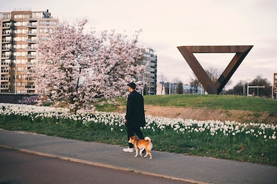 Pasen 2026: dit is er te doen in Eindhoven