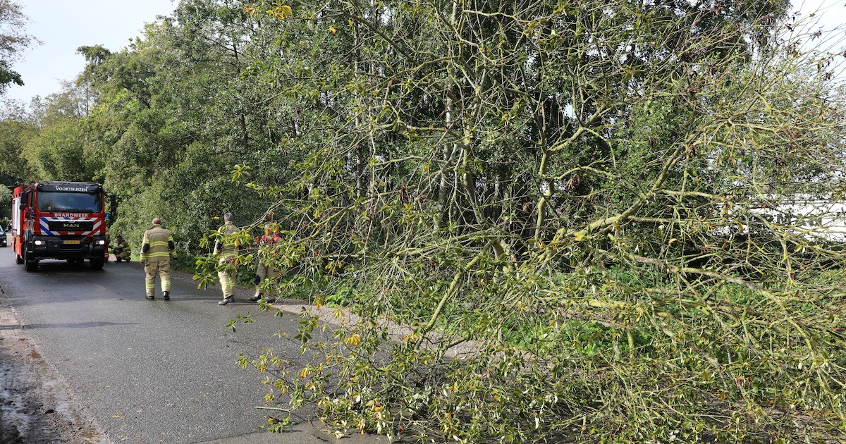 Brandweer ingezet voor omgevallen boom in Barneveld