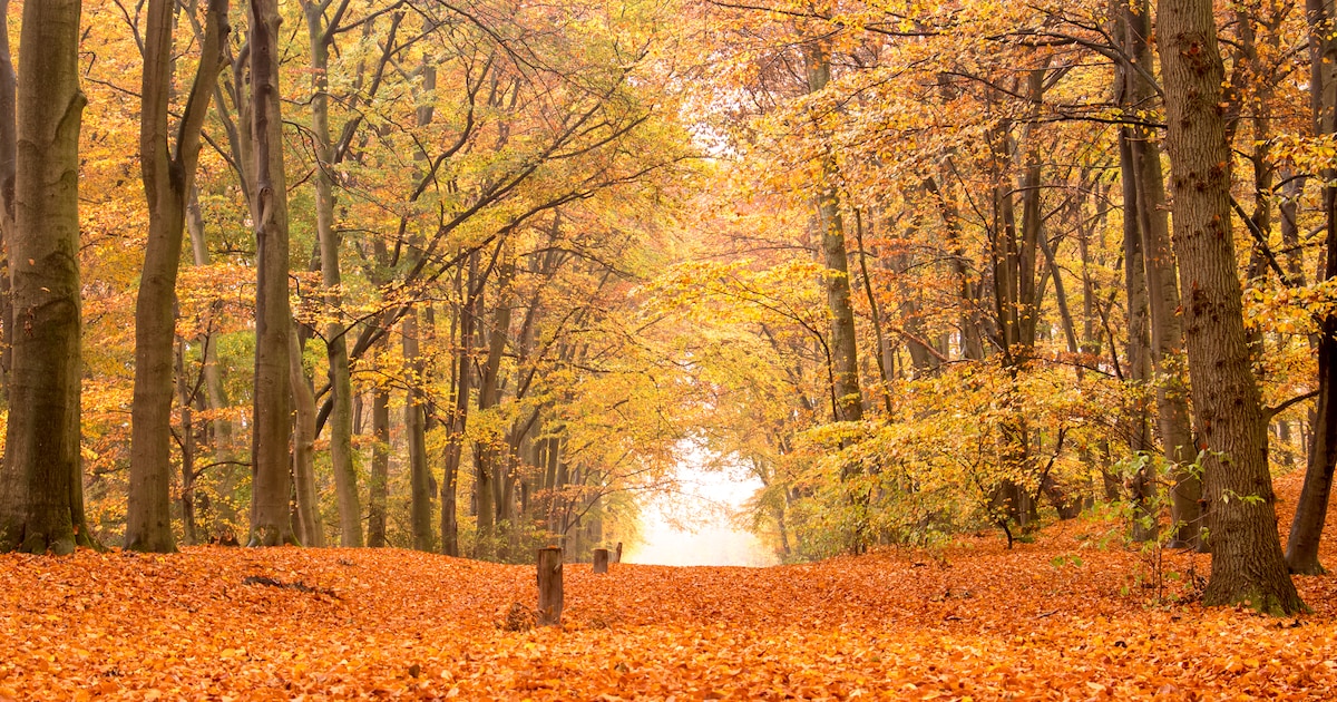 Nieuw informatiepaneel onthuld bij Grueles voor kunstwandelroute over vrouwelijke kracht