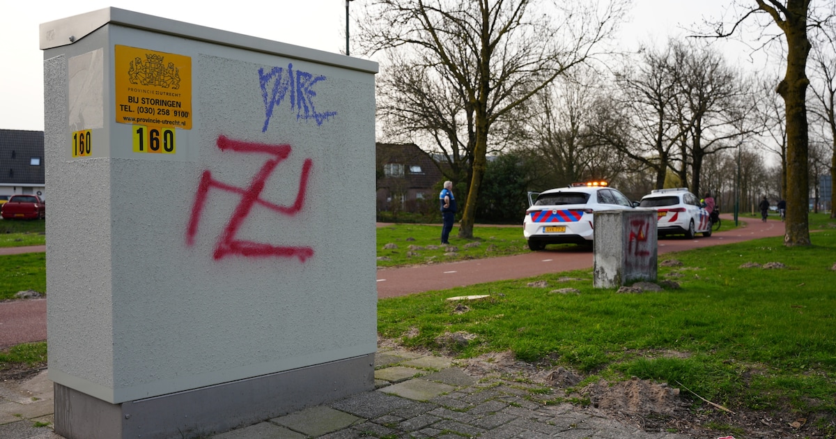 Waarom S. hakenkruis spoot blijft onduidelijk, maar eerst moet hij maar eens een advocaat in de arm 