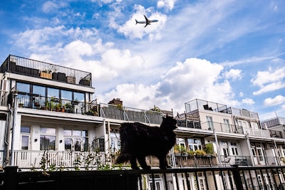 Image related to the article