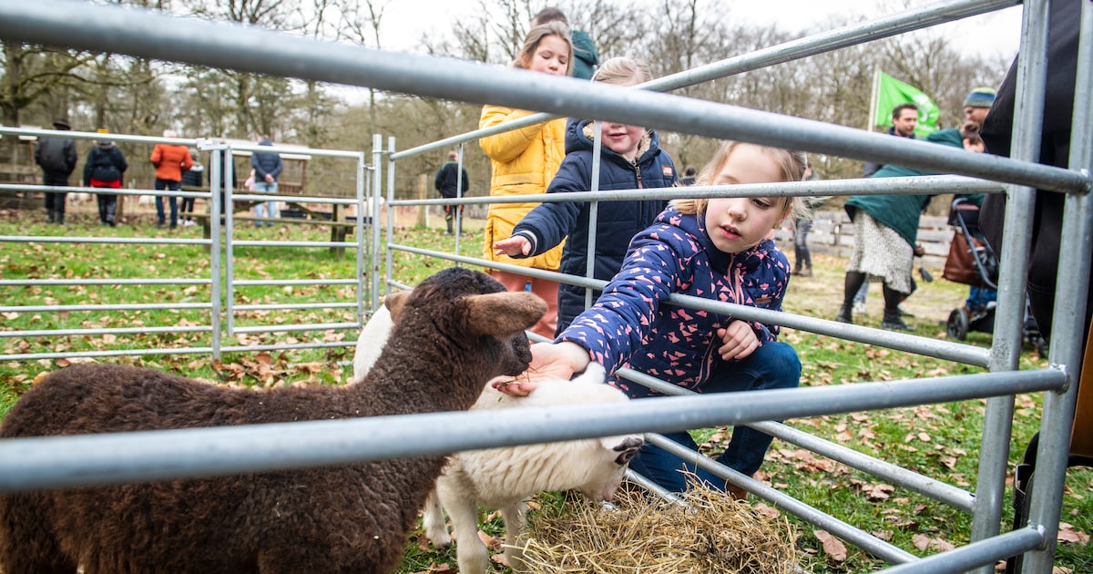 Op zoek naar een uitje in de regio? Check onze tips! Met deze week: flamenco in Blokzijl en een lamm