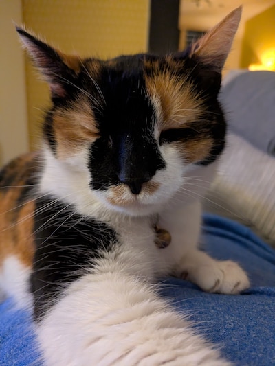 Image related to the article