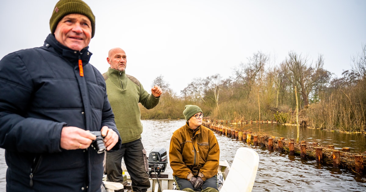 Deze bewoners kiezen zelf voor natuurherstel oevers: ‘We zien weer kikkers en salamanders’