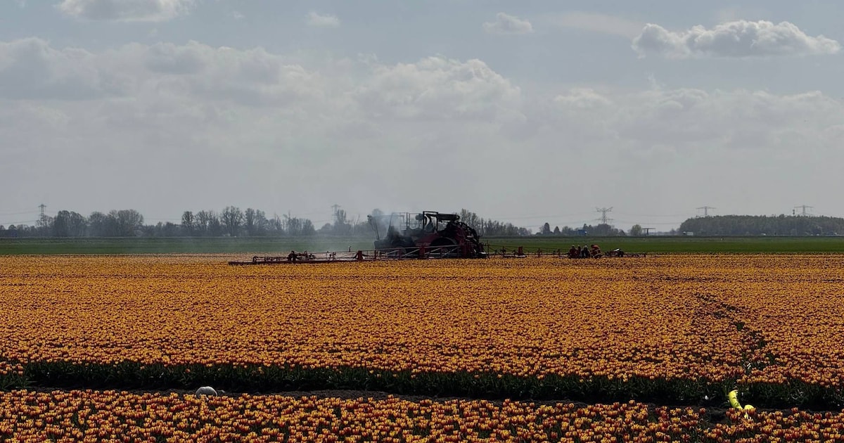 Landbouwvoertuig uitgebrand in weiland langs de Hoofdweg in Nieuw Beerta