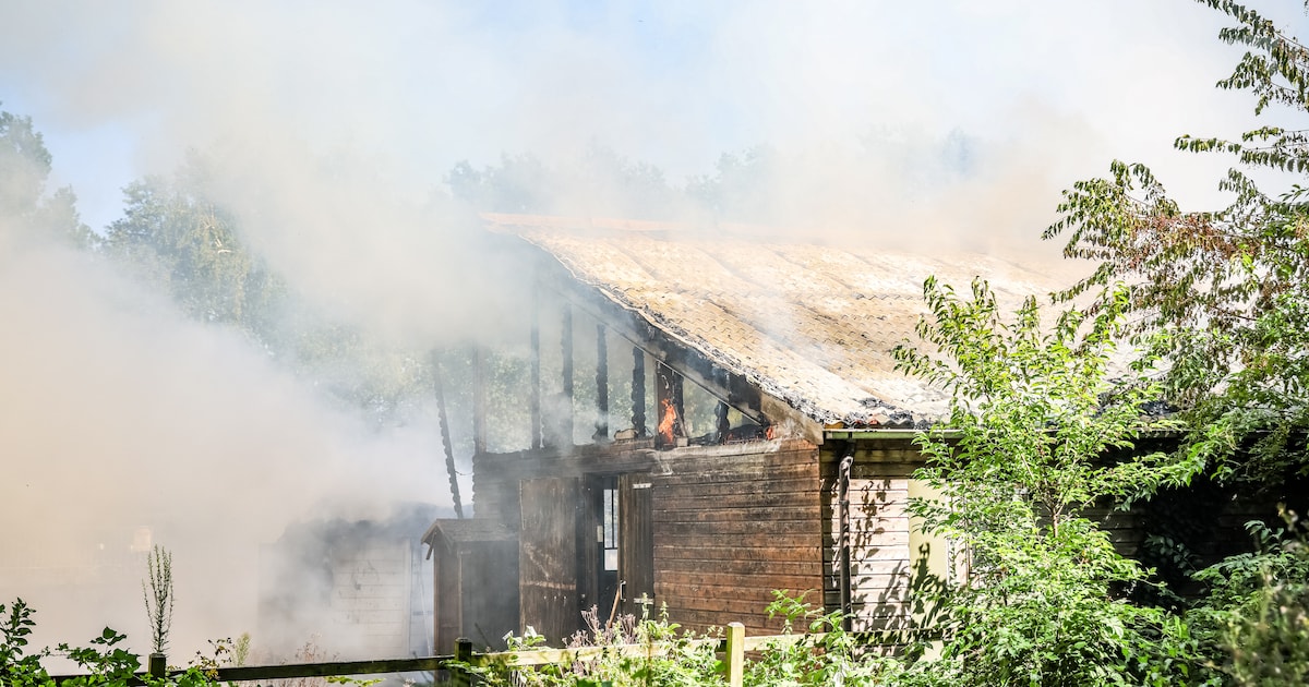 Brand in paardenstal Ter Apel, alle paarden in veiligheid gebracht