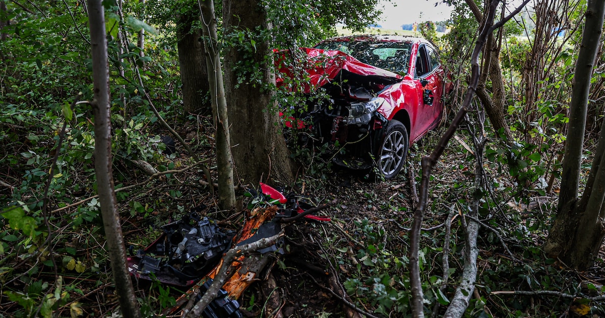 Auto vliegt van A6 bij Lemmer en botst tegen boom: bestuurder naar ziekenhuis
