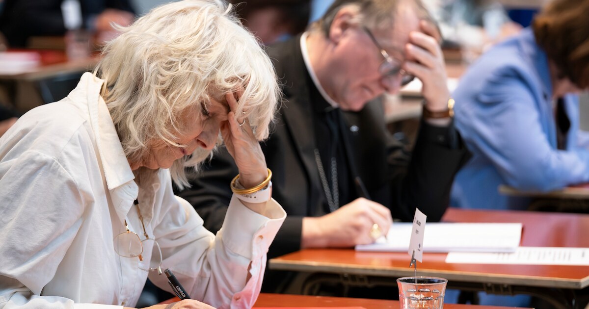 Bibliotheek Borger met Groot Dictee van De Taalstaat | Regio | AD.nl